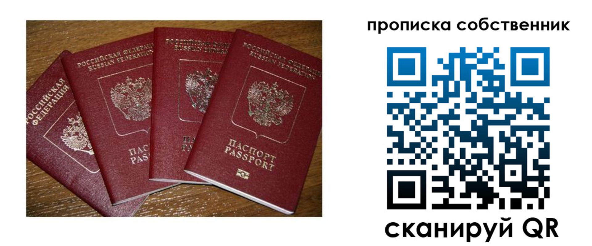 прописка поиск в Курске
